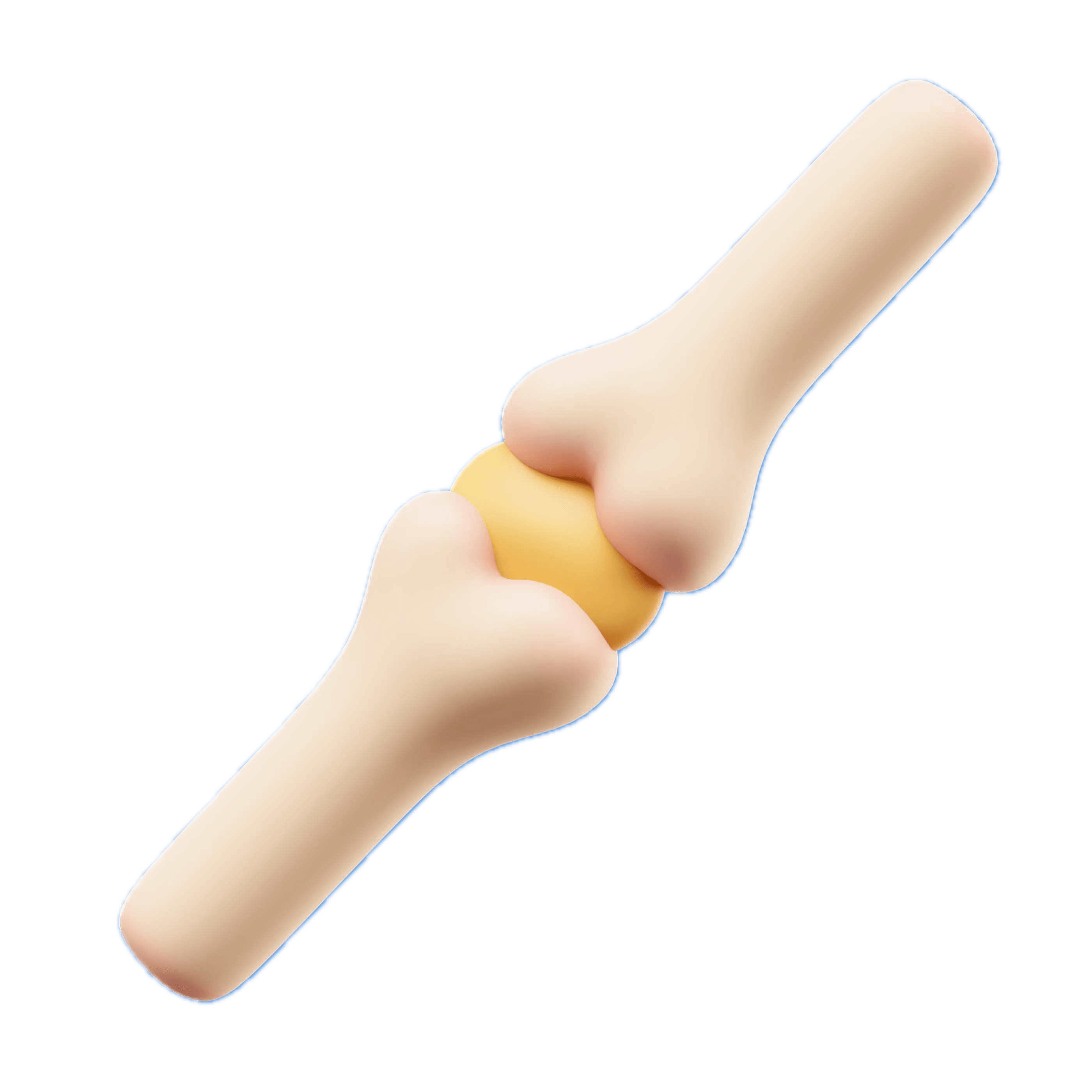 Khớp xương và sụn